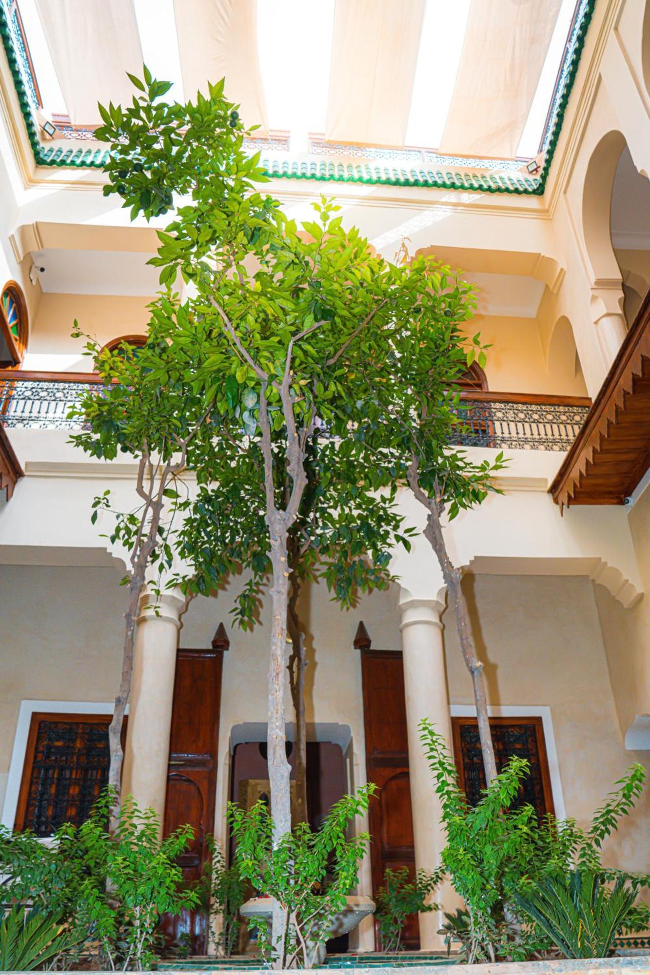 Dar Zaouia Riad